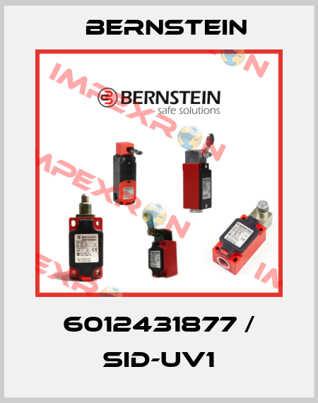 6012431877 / SID-UV1 Bernstein