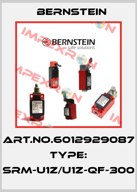 Art.No.6012929087 Type: SRM-U1Z/U1Z-QF-300 Bernstein