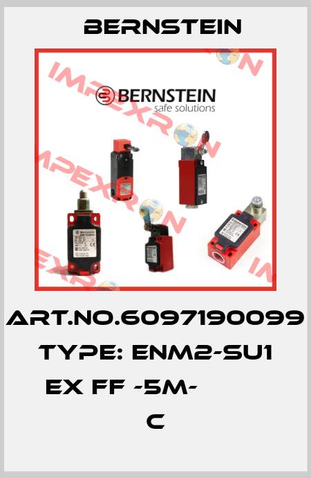 Art.No.6097190099 Type: ENM2-SU1 EX FF -5M-          C Bernstein