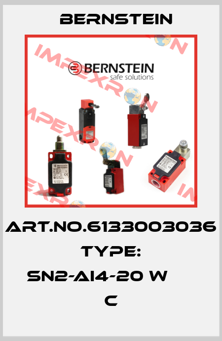 Art.No.6133003036 Type: SN2-AI4-20 W                 C Bernstein