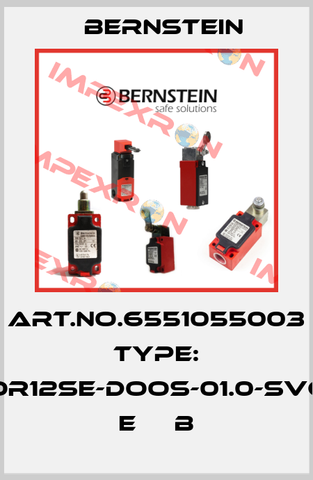 Art.No.6551055003 Type: OR12SE-DOOS-01.0-SVC   E     B Bernstein