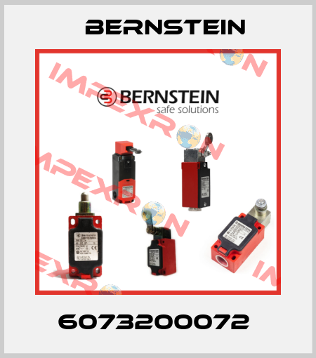 6073200072  Bernstein