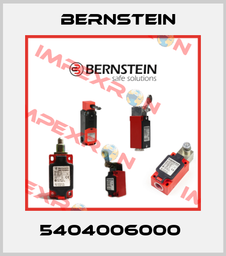 5404006000  Bernstein
