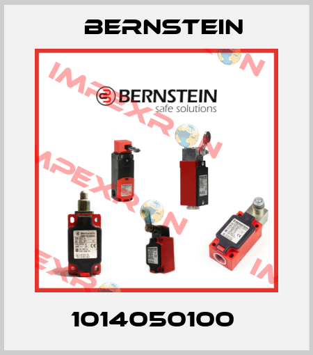 1014050100  Bernstein