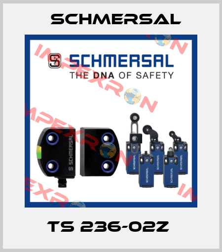 TS 236-02Z  Schmersal