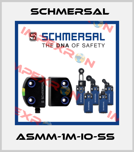 ASMM-1M-IO-SS  Schmersal