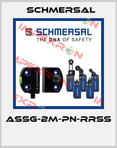 ASSG-2M-PN-RRSS  Schmersal