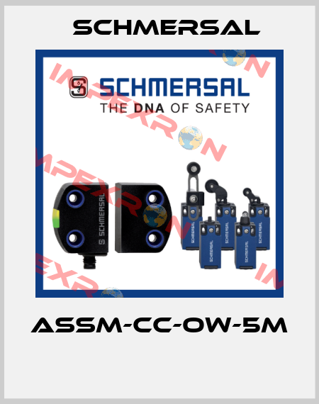 ASSM-CC-OW-5M  Schmersal