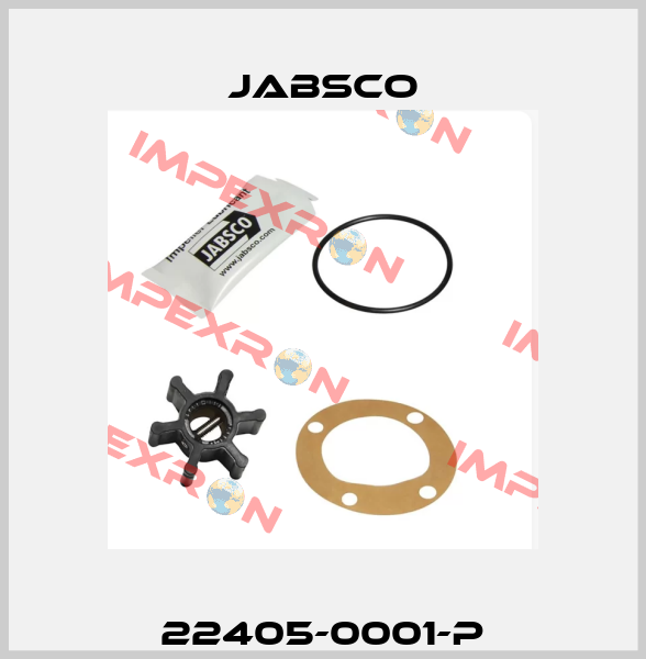 22405-0001-P Jabsco
