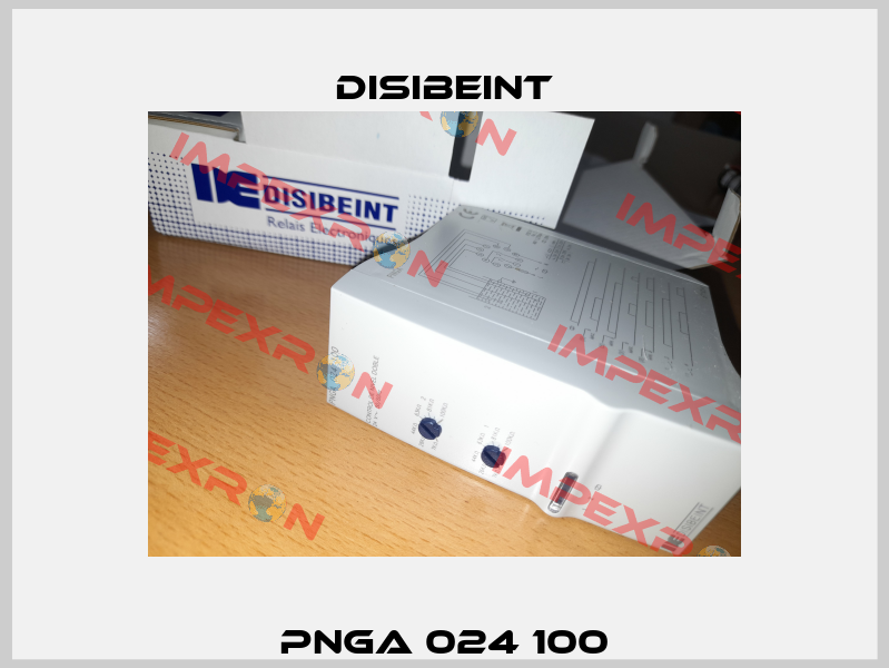 PNGA 024 100 Disibeint