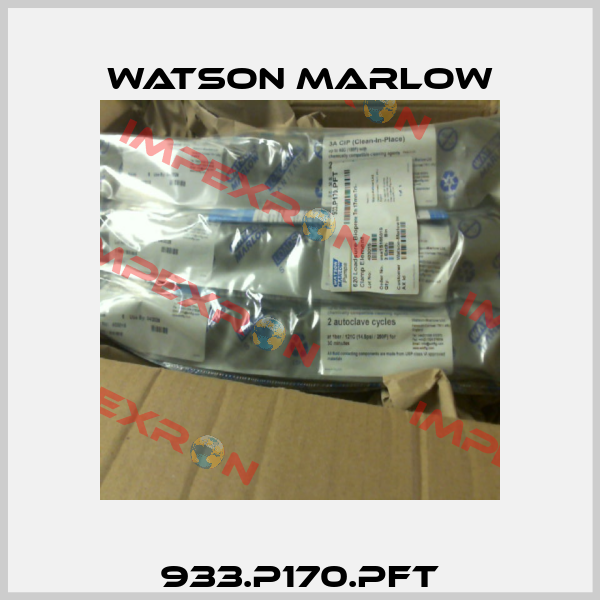 933.P170.PFT Watson Marlow