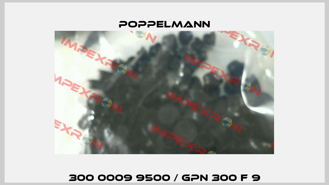 300 0009 9500 / GPN 300 F 9 Poppelmann