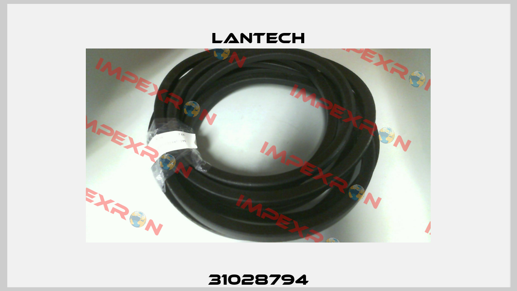 31028794 Lantech