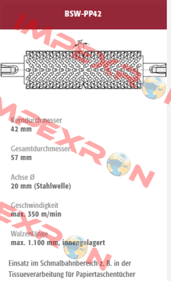 BSW-PP42-232176 old code / new code BSW-PP42-232176/1 Mink Bürsten