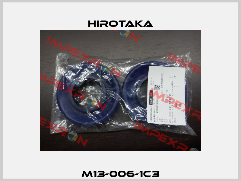 M13-006-1C3 Hirotaka
